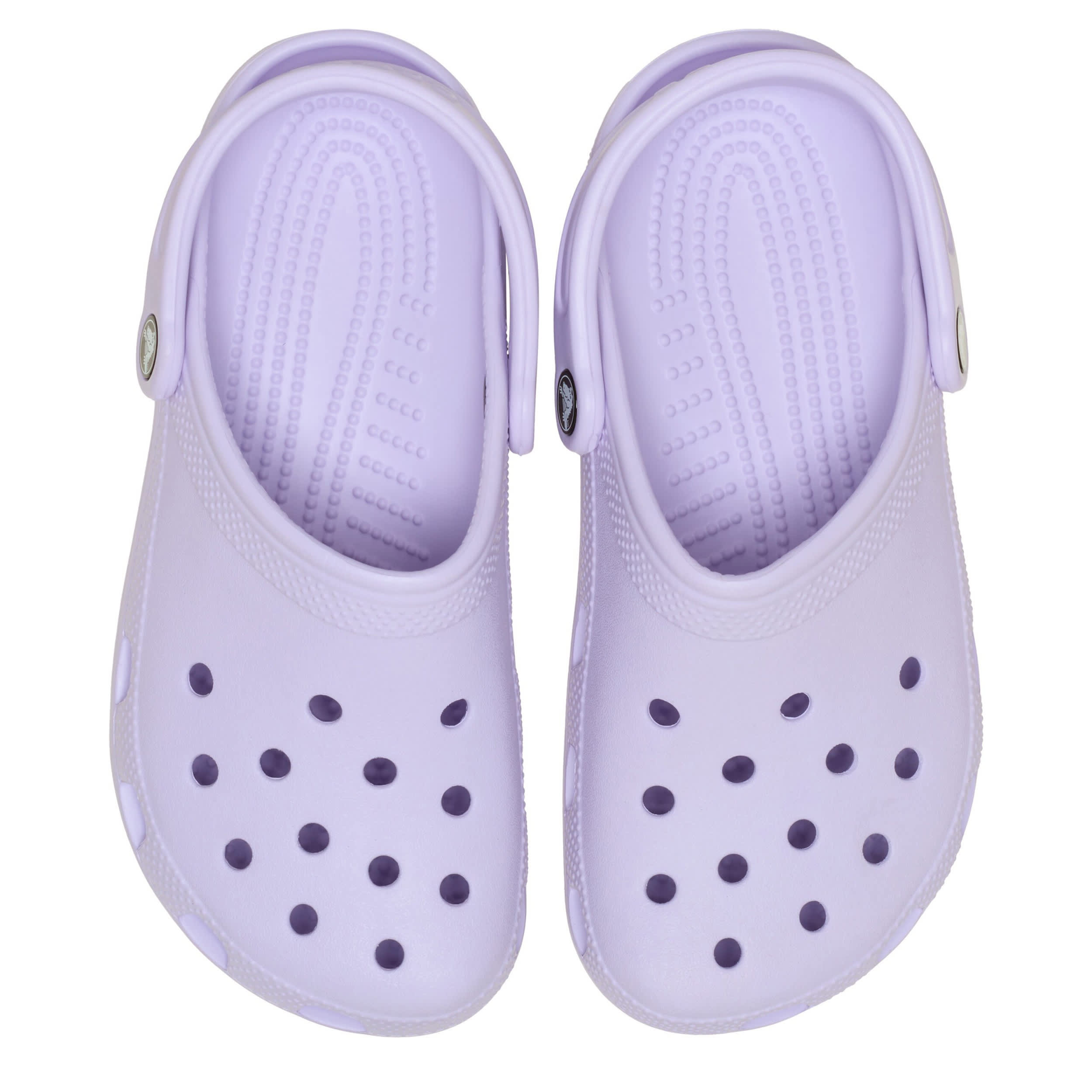 CROCS-WOMENS CLASSIC CLOG-PURPLE & 