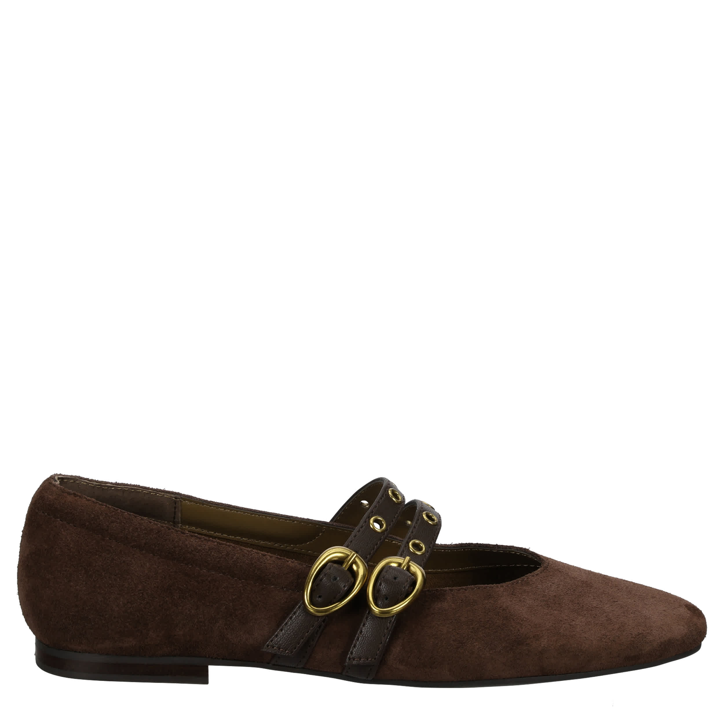 DOLCE VITA-WOMENS AMALIE GROMMET FLAT-CHOCOLATE & 