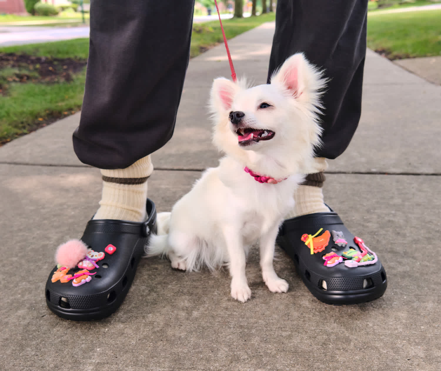 Photo of a man wearing glasses receiving a pair of black Crocs unisex classic clogs with decorative Jibbitz.
