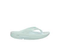 WOMENS OOLALA FLIP FLOP SANDAL
