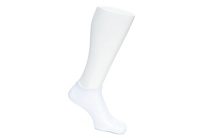 WOMENS SUPERLITE NO SHOW SOCKS 6 PAIRS