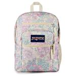 UNISEX BIG STUDENT BACKPACK - ASSORTED